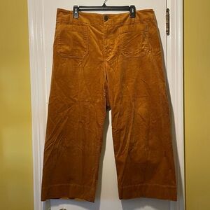 Anthropology MAEVE Collete Pants 16W